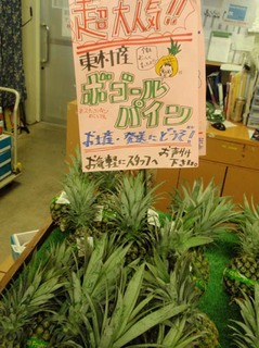 P7100037.jpg