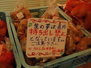 P7100049.jpg